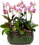 꽃예술 flower