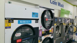 크린토피아 코인워시 목동강서고교점