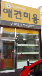 개편한세상애견미용