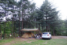 힐링별밤수목원캠핑장