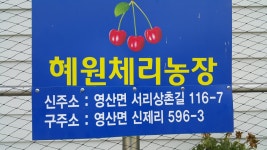 혜원체리농장