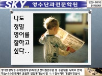 SKY1등급영수단과학원