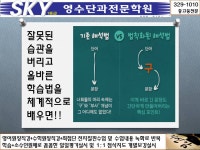 SKY1등급영수단과학원