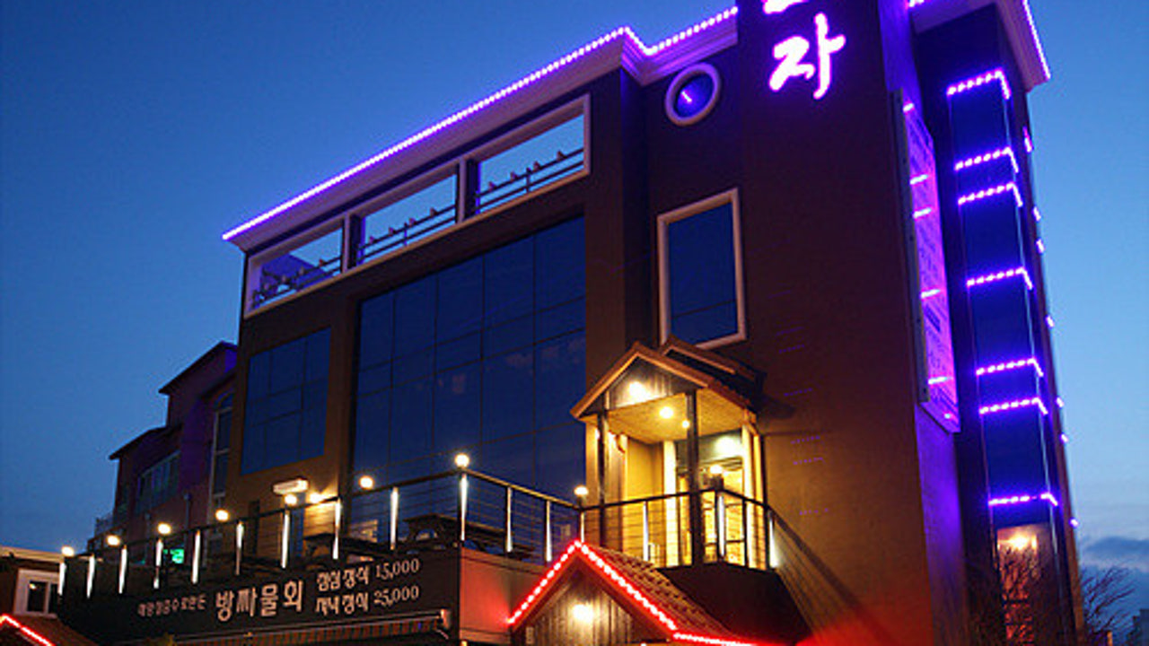 엑스포긴자