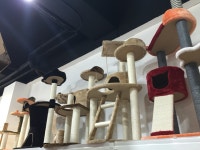 예림애견용품아울렛무전점