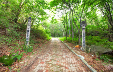 산속계곡끝펜션