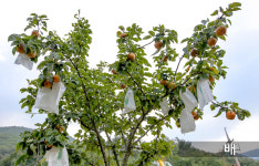 산속계곡끝펜션