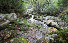 산속계곡끝펜션