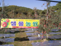 샘물농원
