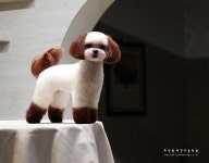 최덕황애견미용학원