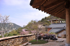 소낭구펜션