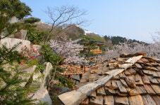소낭구펜션