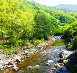 두메산골식당 민박