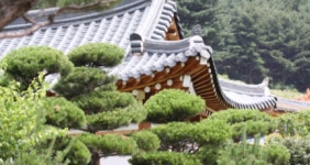 우리건설조경