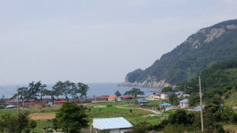 친절민박