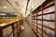 놀숲 분당서현점