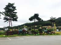 청우대한우