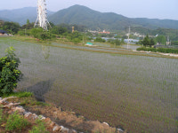 학곡마을