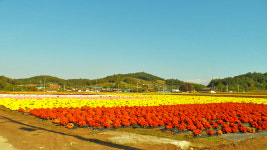 모산마을