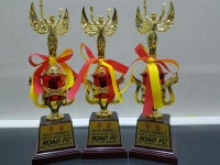 ROAD FC SSMA상승도장 MMA합기도
