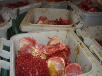 씨케이글로벌케이알