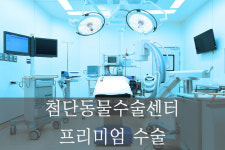 88동물의료원 천안동물병원