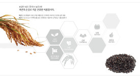 농업회사법인잠