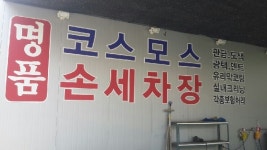 명품코스모스손세차장