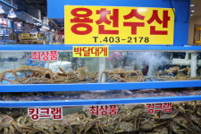 용천수산