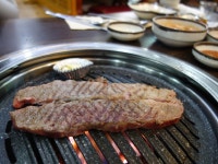 신씨고집