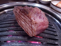 신씨고집