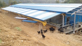 임실해보라농장