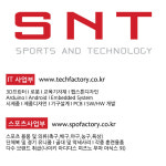 에스앤티