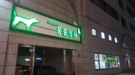 솔펫동물병원