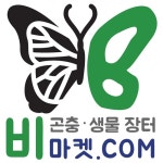 비마켓 곤충생물 장터