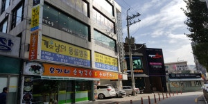 개와냥이동물병원