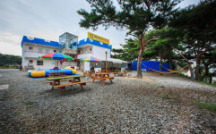 해바라기해루질펜션