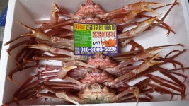 꿀꿀이 대게 수산