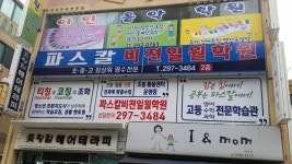 파스칼비젼일월학원