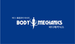 바디메카닉스