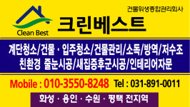 크린베스트