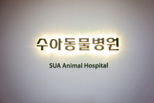 수아동물병원