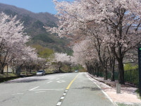 하동호사랑채민박