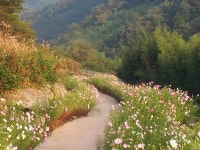 하동호사랑채민박