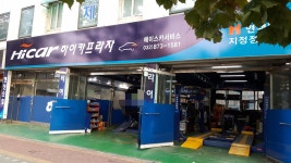 하이카프라자 주안점