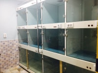 구미JM동물메디컬센터