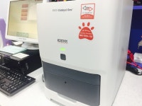 구미JM동물메디컬센터