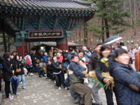 곰소칠산바다젓갈