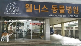 웰니스동물병원