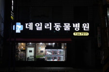 데일리동물병원